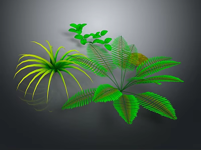 Three Different Green Plants With Slender Yellow Edged Leaves Feathery Fronds And Small Green Leaflets 3d model