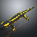 Black And Yellow Spotted Salamander Crawling On Smooth Gray Surface With Reflection 3d model