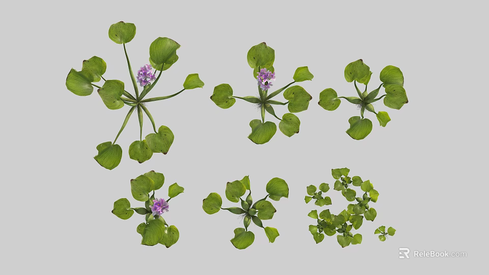 Elegant Vase with Purple Flowers and Green Leaves for Home Interior Decoration 3d model 