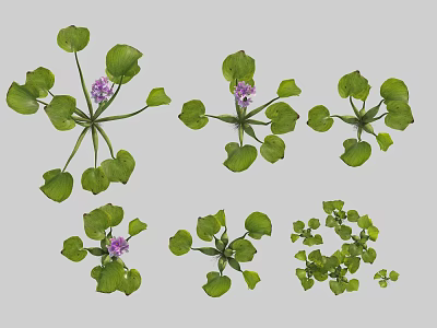 Elegant Vase with Purple Flowers and Green Leaves for Home Interior Decoration 3d model
