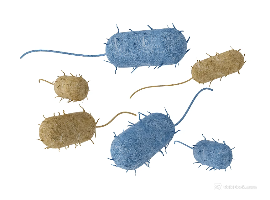 Medical Devices for Bacterial Detection and Microbial Identification Testing Applications 3d model 