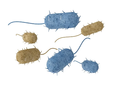 Medical Devices for Bacterial Detection and Microbial Identification Testing Applications 3d model