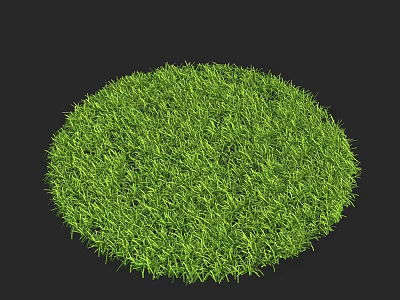 Lush Green Circular Grass Patch With Vibrant Fresh Texture On Black Background 3d model