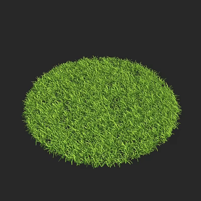 Lush Green Circular Grass Patch With Vibrant Fresh Texture On Black Background 3d model