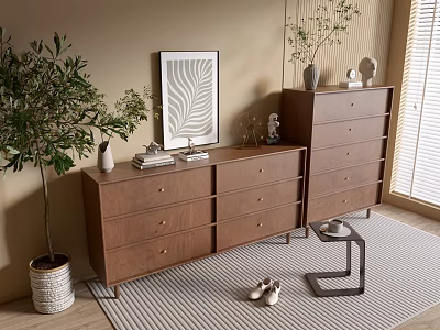 Modern Wooden Entryway Cabinet And Side Cabinet With Drawers Plant Decor Shoes On Striped Rug 3d model