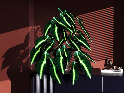 Bonsai Potted Plant with Green Leaves White Stripes on Dark Cabinet Red Wall Blind Shadow 3d model