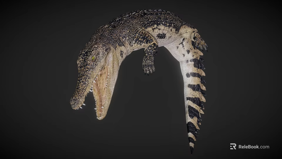 Crocodile With Open Mouth Sharp Teeth And Patterned Skin On Dark Background 3d model