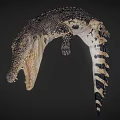 Crocodile With Open Mouth Sharp Teeth And Patterned Skin On Dark Background 3d model