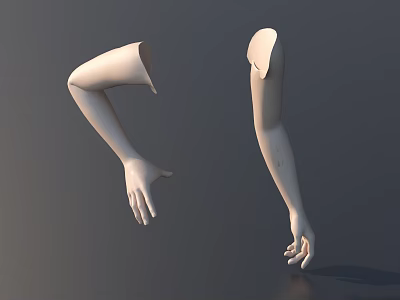 White Mannequin Model Arms Displaying Different Poses And Detailed Structure 3d model
