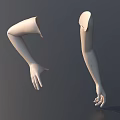 White Mannequin Model Arms Displaying Different Poses And Detailed Structure 3d model