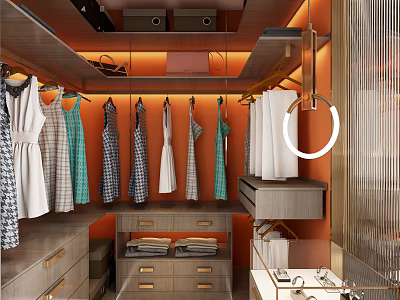 Modern Walk in Closet Interior Design With Hanging Dresses Drawers And Recessed Lighting 3d model