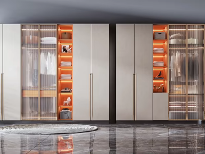 Modern Double Door Wardrobe Interior With Glass Fronts LED Lighting And Storage Shelves 3d model