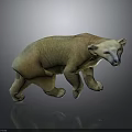 Polar Bear 3D Model Standing On Gray Background With Floor Reflection 3d model