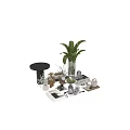 Decorative Ornament Collection with Green Plants Glass Vases Books and Wooden Accents