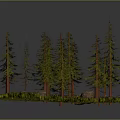 Pine Forest Scene With Circular Grassy Area And Small Flowers