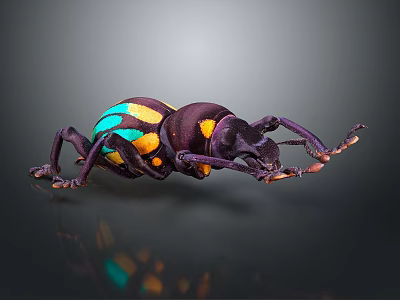 Vibrant Colorful Beetle With Purple Blue And Yellow Spots On Shiny Body 3d model