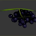 Fresh Dark Purple Grapes with Vibrant Green Leaves Healthy Juicy Fruit Bunch