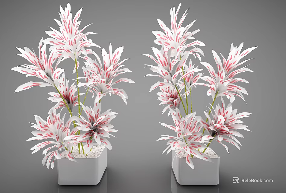 Pink and White Leafy Plants in White Square Pots for Indoor Decoration 3d model 
