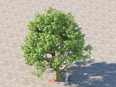 Tall Arbor With Lush Green Leaves Sturdy Trunk And Small Figure On Paved Ground 3d model