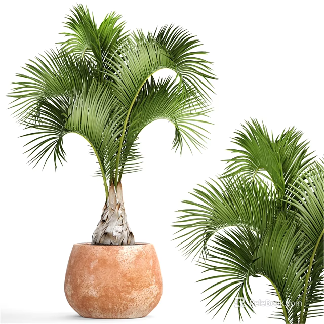 Decorative Ornament Set With Palm Trees And Terracotta Pots For Home Decor 3d model 