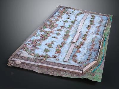 Garden Landscape With Square Planting Area Neatly Arranged Plants Wooden Pathways Frames And Water Pipe 3d model