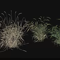Various Herb Crops In Different Growth Stages With Green And Brown Foliage