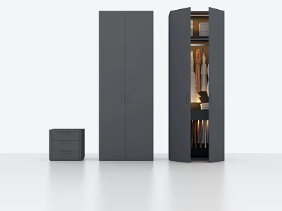 Dark Gray Double Door Wardrobe With Open Door Hanging Clothes And Side Drawer Cabinet 3d model