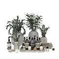 Stylish Washing And Daily Essentials Display With Green Plants Ceramic Vases And Linen Towels