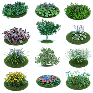 Modern flower-grass-bush combination 3d model