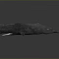 Large Black Whale With Open Mouth And Sharp Teeth On Gray Background 3d model
