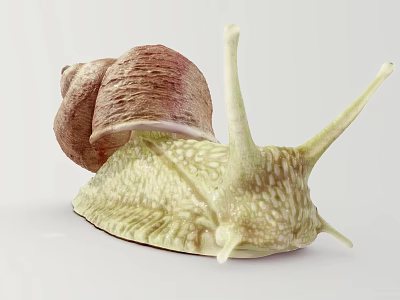 Reptile Snail With Brown Spiral Shell And Green Speckled Body On White Background 3d model