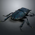 Dark Blue Iridescent Beetle With Detailed Body Structure Legs And Antennae On Grey Gradient Background