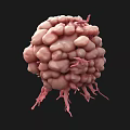 3D Rendered Pink Spherical Cell Like Structure With Thin Protrusions On Black Background