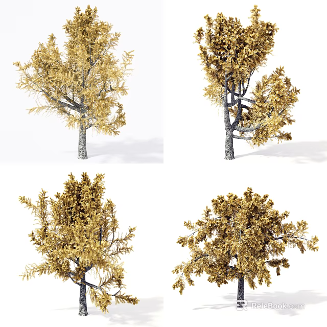 Golden Foliage Arbor Varieties With Different Shapes And Natural Branch Structures 3d model 