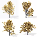 Golden Foliage Arbor Varieties With Different Shapes And Natural Branch Structures 3d model