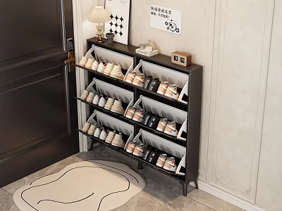 Black Multitier Shoe Rack in Entryway with Door Mat Holding Shoes and Decorative Lamp Frames 3d model