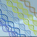 Advanced Medical Devices Utilizing DNA Double Helix Molecular Structure for Genetic Research 3d model