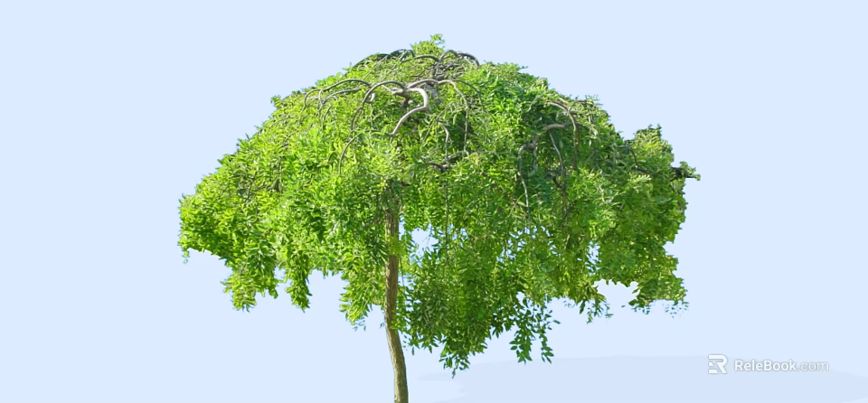 Lush Green Arbor With Umbrella Shaped Canopy And Dense Foliage In Natural Setting 3d model 