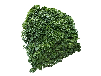 green plant vine 3d model