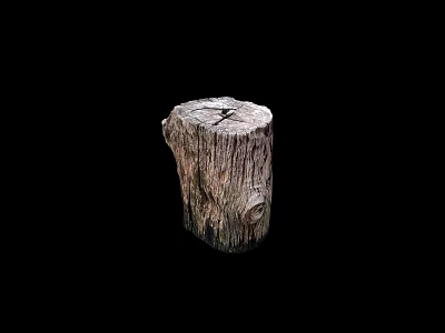Natural Old Tree Stump With Rough Wooden Texture And Knotty Surface 3d model