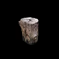 Natural Old Tree Stump With Rough Wooden Texture And Knotty Surface