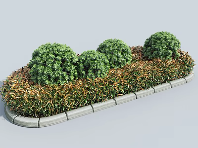 Round Green Bushes In Garden Landscaping With Grass And Stone Border 3d model