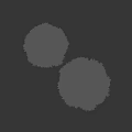 Two Lush Green Bushes With Dense Foliage On Black Background