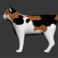 Three Colored Cat Figurine 3D Model in Standing Pose with Gray Background and Reflective Surface