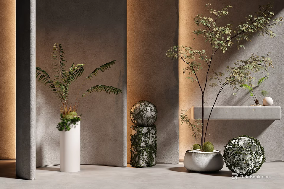 Modern Courtyard Garden Design With Ferns Decorative Spheres White Planters Concrete Walls And Natural Light 3d model 