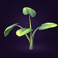 Cartoon Style Green Plant Illustration With Large Vibrant Leaves On Dark Background
