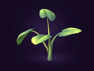 Cartoon Style Green Plant Illustration With Large Vibrant Leaves On Dark Background 3d model
