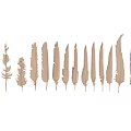 Light Brown Decorative Feathers with Various Shapes Arranged in a Row 3d model