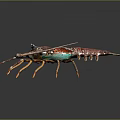 Colorful Aquatic Lobster with Vibrant Red Green Hues and Orange Tipped Leg Design