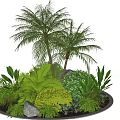 Circular Tree Planter with Palm Trees Various Green Plants and Stones